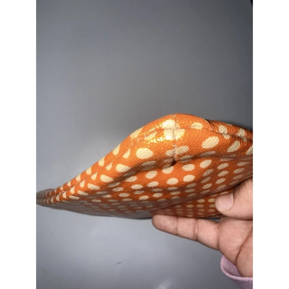 Fossil 